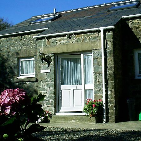 Ty R Pwmp Villa Haverfordwest Exteriör bild