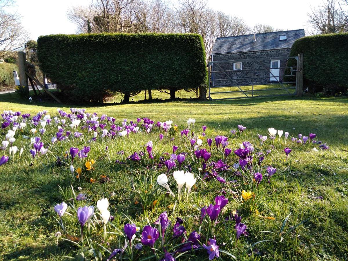 Ty R Pwmp Villa Haverfordwest Exteriör bild